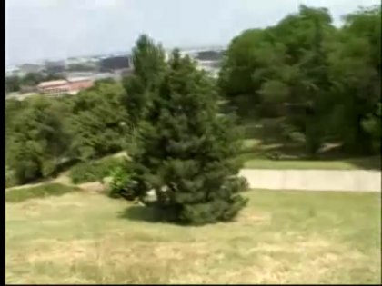 Scene 5