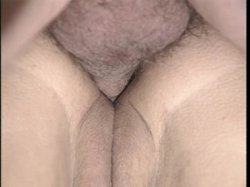 'Pass the Ass Please' screenshot nº 12