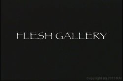 'Flesh Gallery' screenshot nº 3