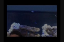 Captura de 'Sex 3 Ways' nº 126