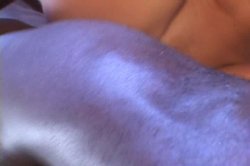 'White Crack 4 The Big Black' screenshot nº 85