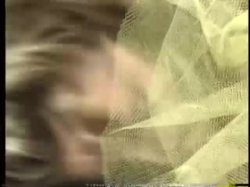 Captura de 'Universal Boner' nº 63