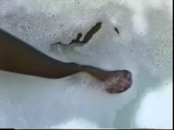 Captura de 'House Of Legs #9 - MagniPHique' nº 48