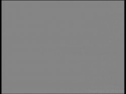 'Party, The (French)' screenshot nº 120