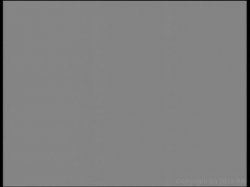 'Party, The (French)' screenshot nº 126
