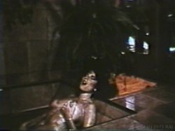 Captura de 'Peepshow Loops 98: 70's & 80's' nº 61