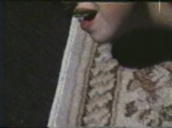 Captura de 'Peepshow Loops 98: 70's & 80's' nº 88