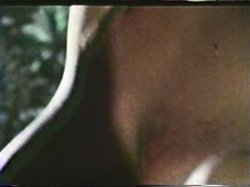 Captura de 'Peepshow Loops 98: 70's & 80's' nº 96