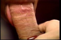 'Dangerous Behinds 2' screenshot nº 19