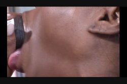 'Black Beauties Black Stallions' screenshot nº 45