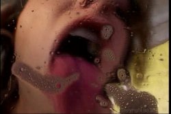 'American Cream Pie' screenshot nº 20