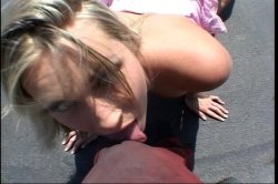 'American Cream Pie' screenshot nº 32