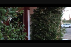 Captura de '3 Way, The' nº 23