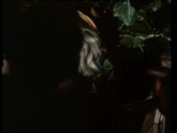 Captura de 'Ginger Lynn: The Queen Of Erotica' nº 7