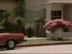 'Beverly Hills Cox' screenshot nº 75