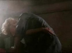 'Beverly Hills Cox' screenshot nº 85