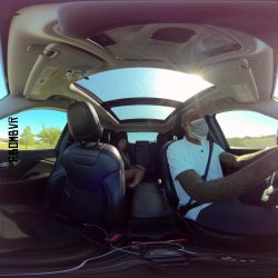 'Ride Share Wife Share' screenshot nº 19
