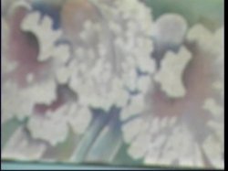 Captura de 'Goldie Locks and the 3 Bi Bears' nº 127