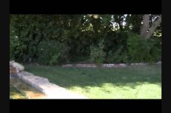 'My Sexy Life Vol. 1' screenshot nº 91