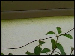 'Caught In The Middle' screenshot nº 5