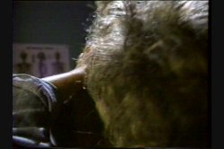 'Confessions of a Slutty Nurse' screenshot nº 121