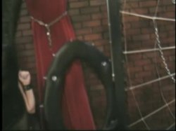 'Family Ties that Bind, The' screenshot nº 85