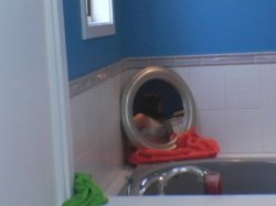 'Scale Bustin Babes 22' screenshot nº 5