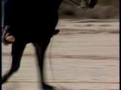 Captura de 'Deep Inside Nina Hartley' nº 35