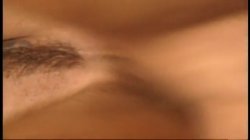 'Wild Widow' screenshot nº 25