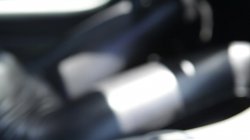 Captura de 'Tori Black Is Back' nº 2