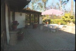 'Freshman Fantasies 6' screenshot nº 66
