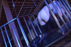 'Voyeurs Hard Ass, The' screenshot nº 108