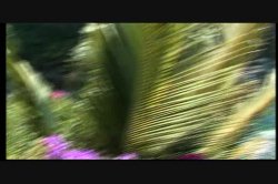 Captura de 'Only the Best of Seymore Butts 8' nº 29