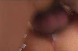 'Bet Your Ass 7' screenshot nº 62