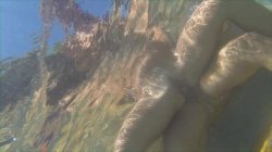 Captura de 'Water World: Underwater Sex 2' nº 123
