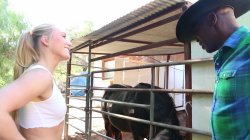 'Redneck Girls: Trailer Trash Hoes' screenshot nº 71