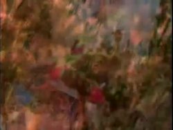 'Mystified I:The Collectors Edition' screenshot nº 81