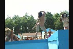 Captura de 'Buttman At Nudes A Poppin' 10' nº 81