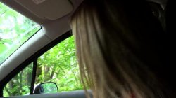 'Pussy Passenger Vol. 2' screenshot nº 57