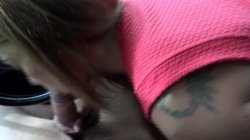 'Pussy Passenger Vol. 2' screenshot nº 59