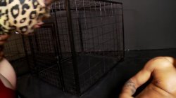 Captura de 'Latex Pets Untamed' nº 46
