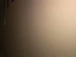 'Anal Retrospective' screenshot nº 62