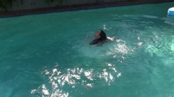 'Sorority Splash' screenshot nº 60