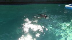 'Sorority Splash' screenshot nº 70