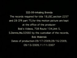 Captura de 'Bob's Smokers - Inhaling Brenda' nº 2