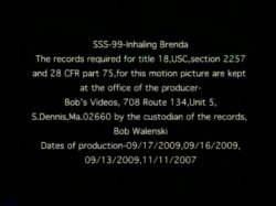 Captura de 'Bob's Smokers - Inhaling Brenda' nº 3