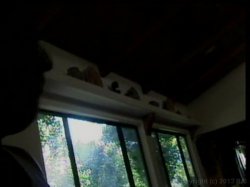 'Hot Bods & Tail Pipe Vol.16' screenshot nº 69