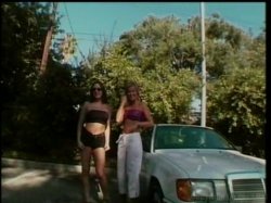 'Hot Bods & Tail Pipe Vol.16' screenshot nº 106