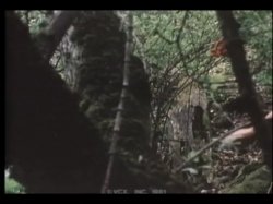 Captura de 'Summer in Heat' nº 57
