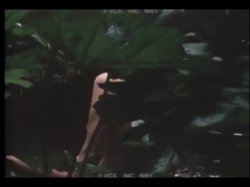 Captura de 'Summer in Heat' nº 59